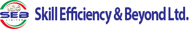 Skill Efficiency & Beyond Limited Logo